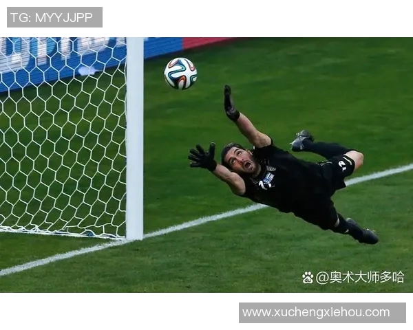 看花花的足球明星如何在绿茵场上展现风采与魅力的背后故事