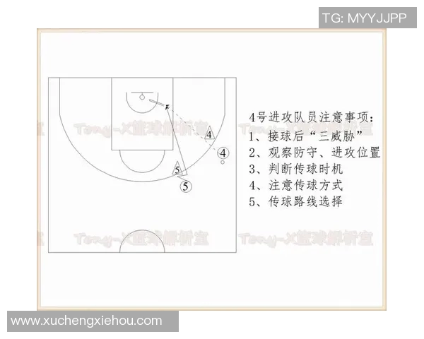 篮球新手必看：全面解析战术基础与实战技巧的入门指南
